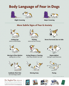 An infographic of the many body languages of fear in dogs