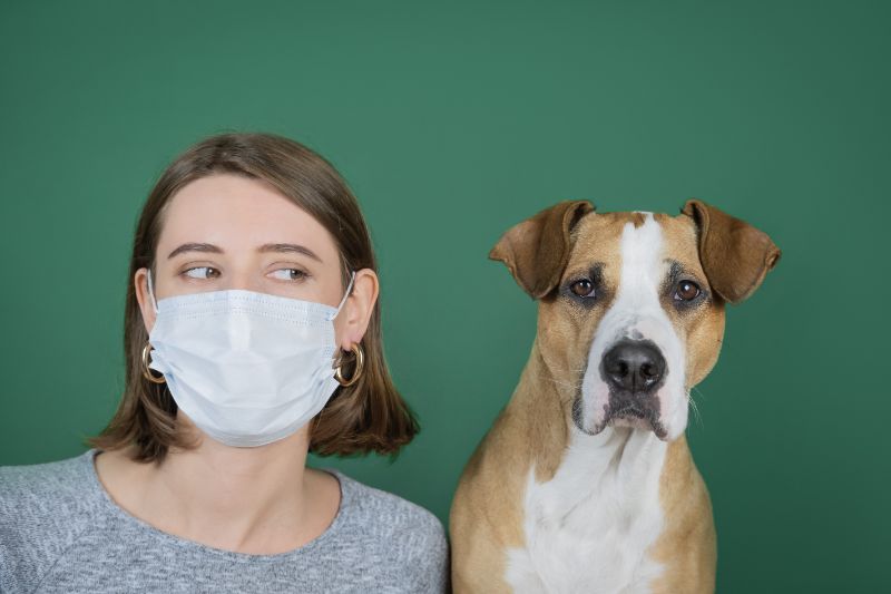 dog and lady with mask on