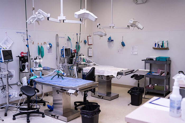 veterinary surgery room