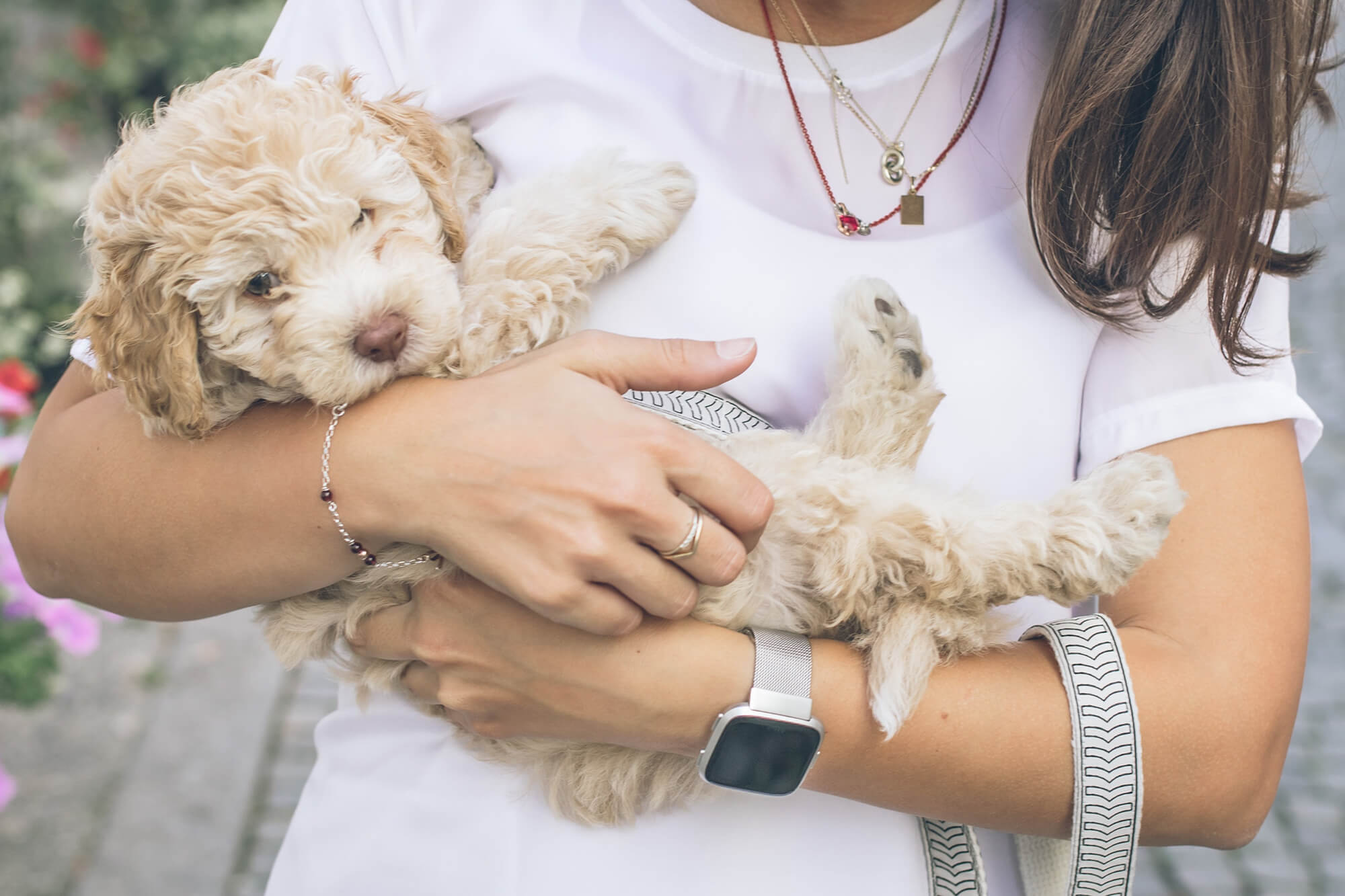 Lady holding puppy in arms