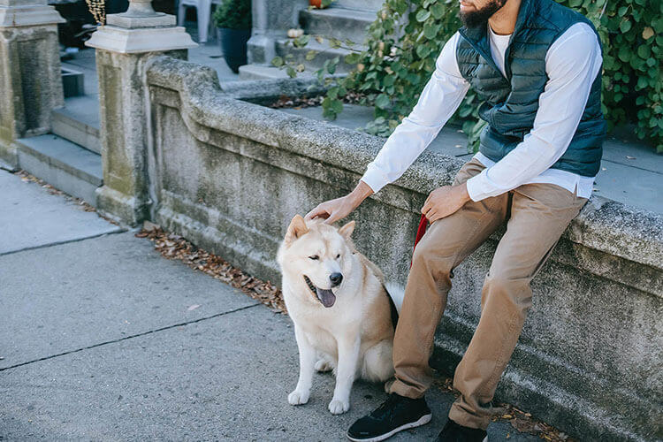 man siting while petting a dog on the head